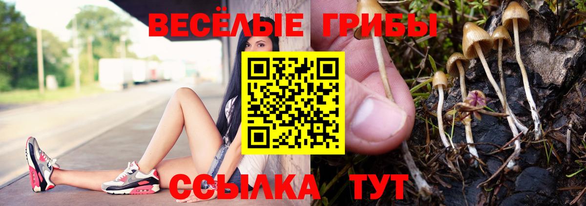 Галлюциногенные грибы ЛСД Городец