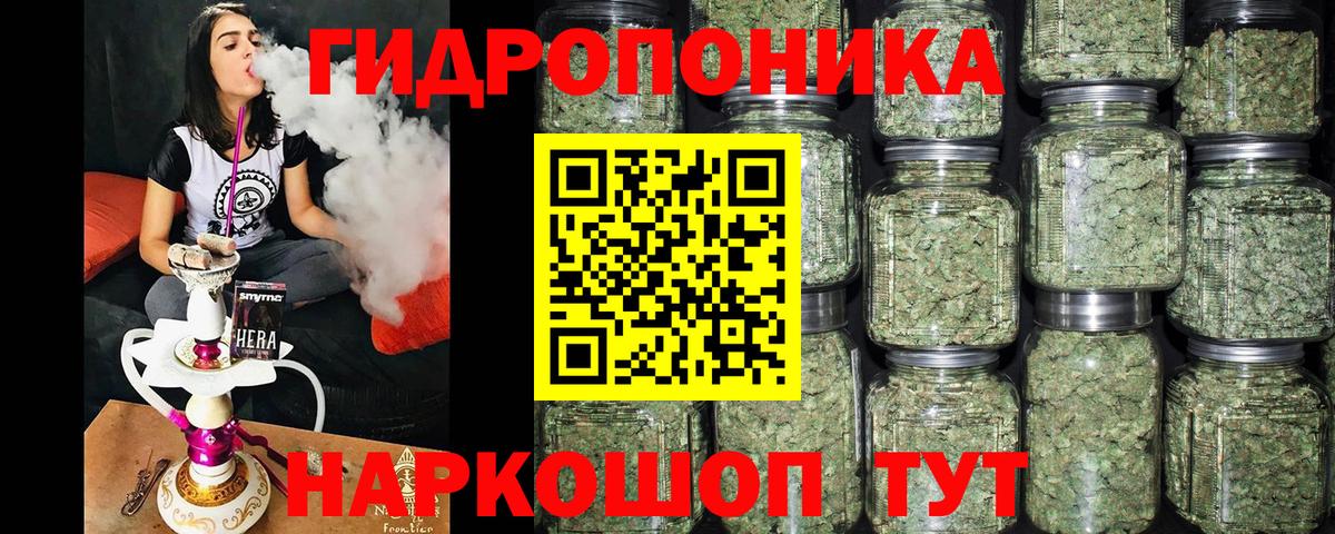 Конопля OG Kush Городец